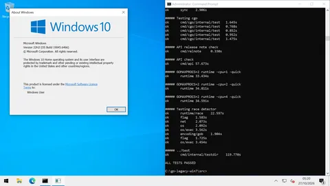 Windows 10 64-bit desktop